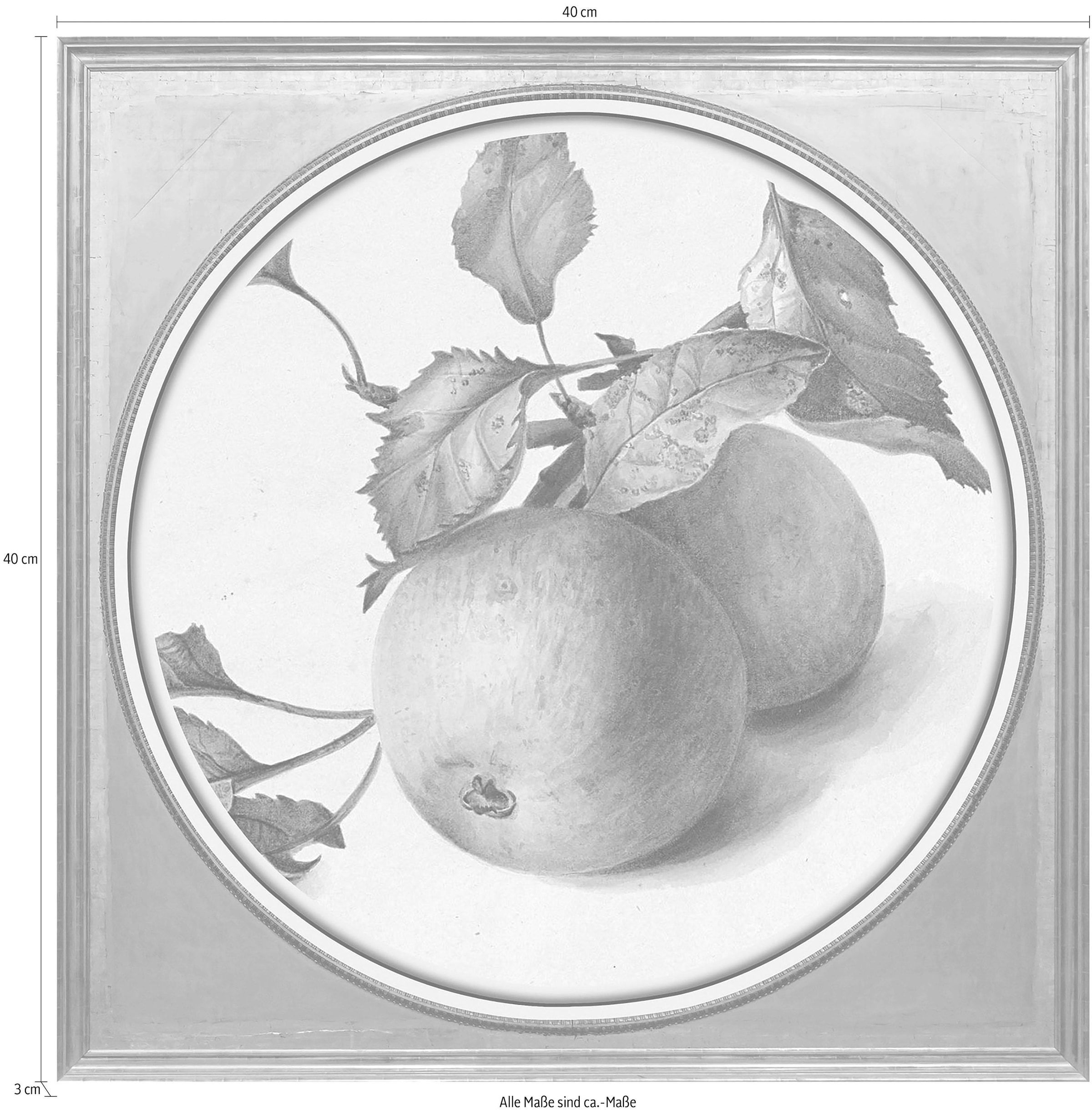 queence Acrylglasbild »Äpfel«