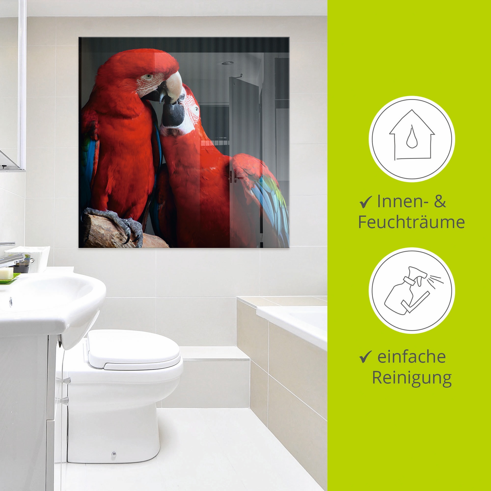 Artland Glasbild »Papageien« Vögel 1 Stk. tlg. in verschiedenen Größen
