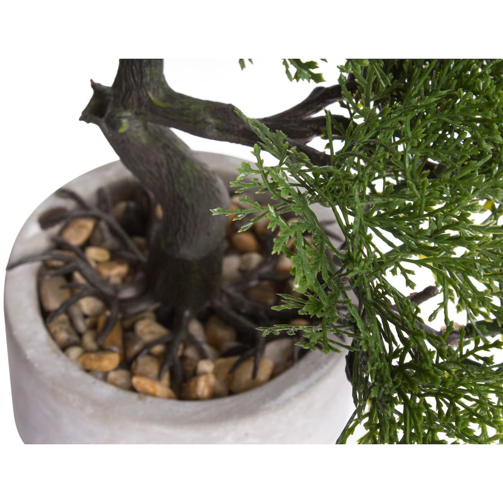 Botanic-Haus Kunstbonsai »Ceder Bonsai«