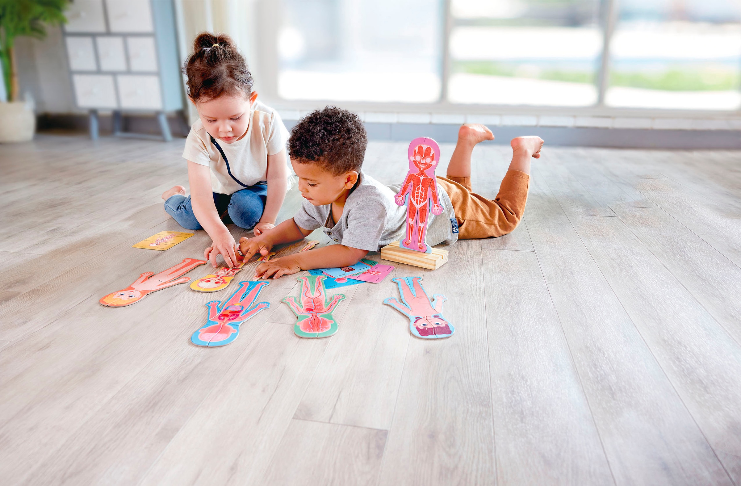 Hape Konturenpuzzle »Menschlicher Körper«