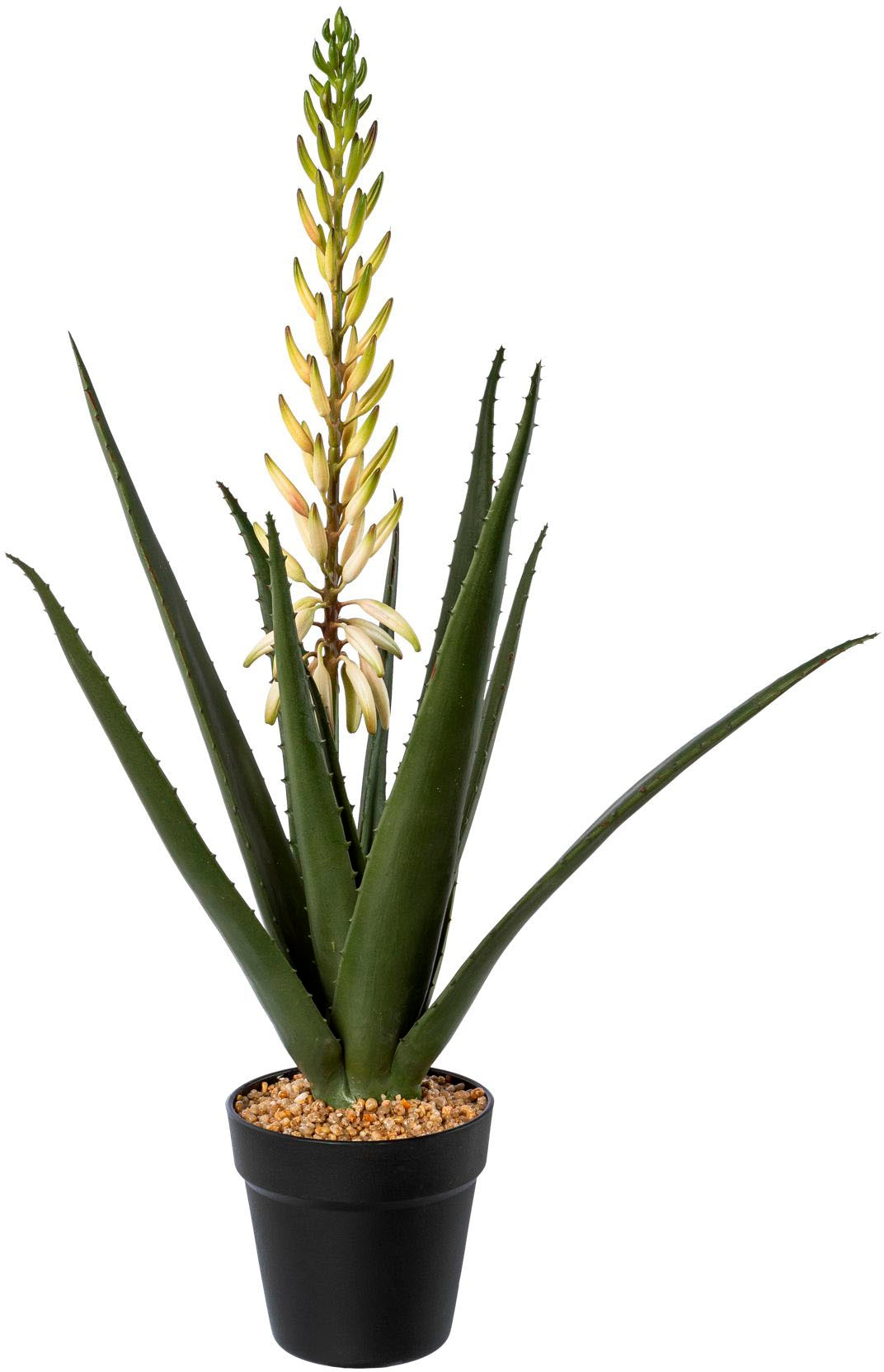 Künstliche Zimmerpflanze »Aloe mit Blüte im Topf«