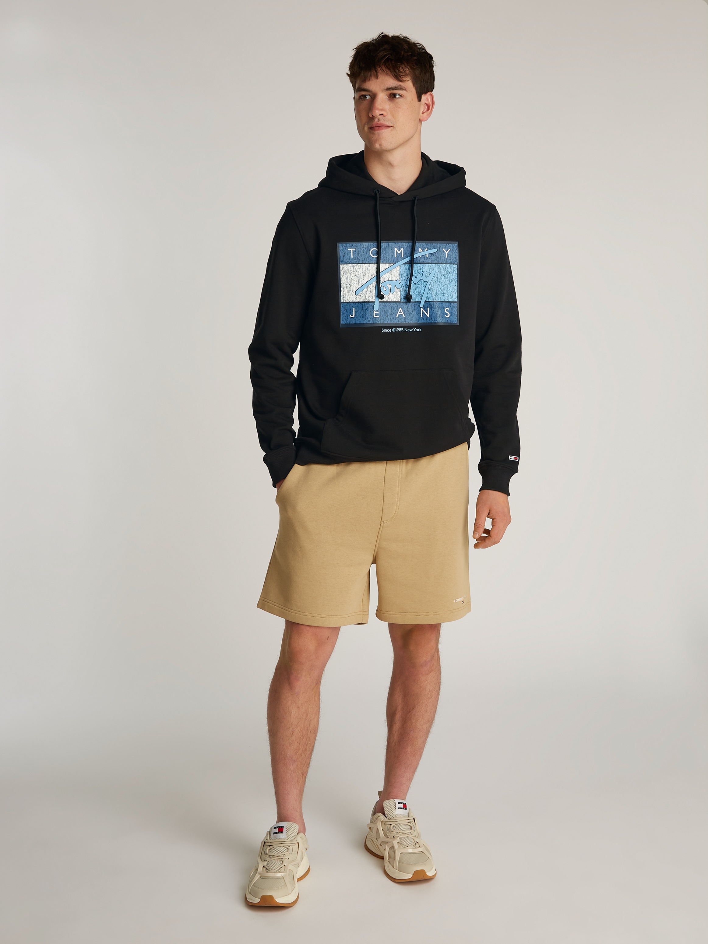 Tommy Jeans Hoodie »TJM REG DNA FLAG TWIST HOOD EXT«, mit großem Logo