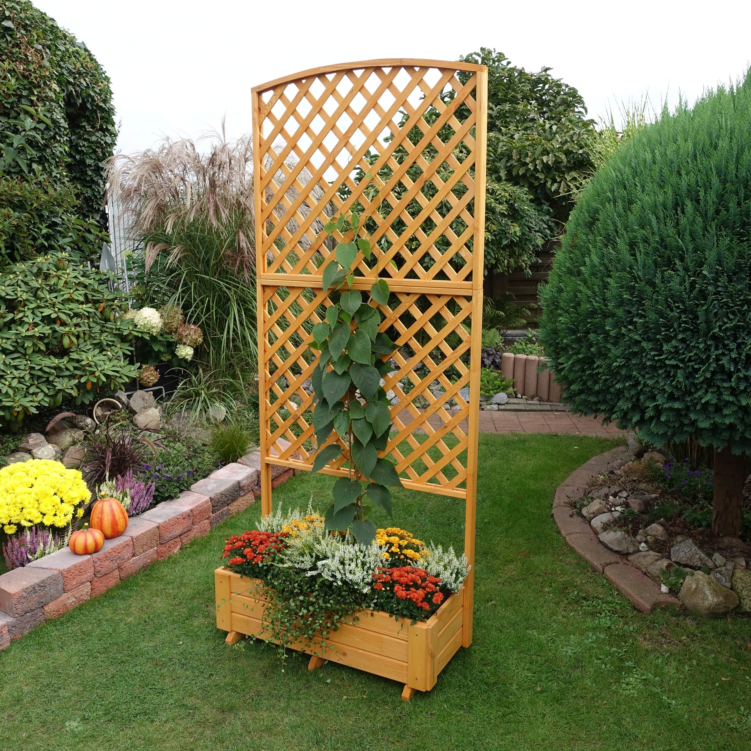 promadino Spalier mit Pflanzkasten, BxT: 91x41 cm, versch. Höhen