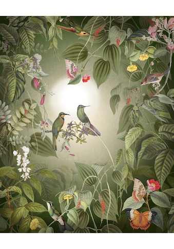 Komar Fototapete »Wildlife Birds«, Wald-floral, Größe: 200 x 250 cm (Breite x Höhe),... kaufen