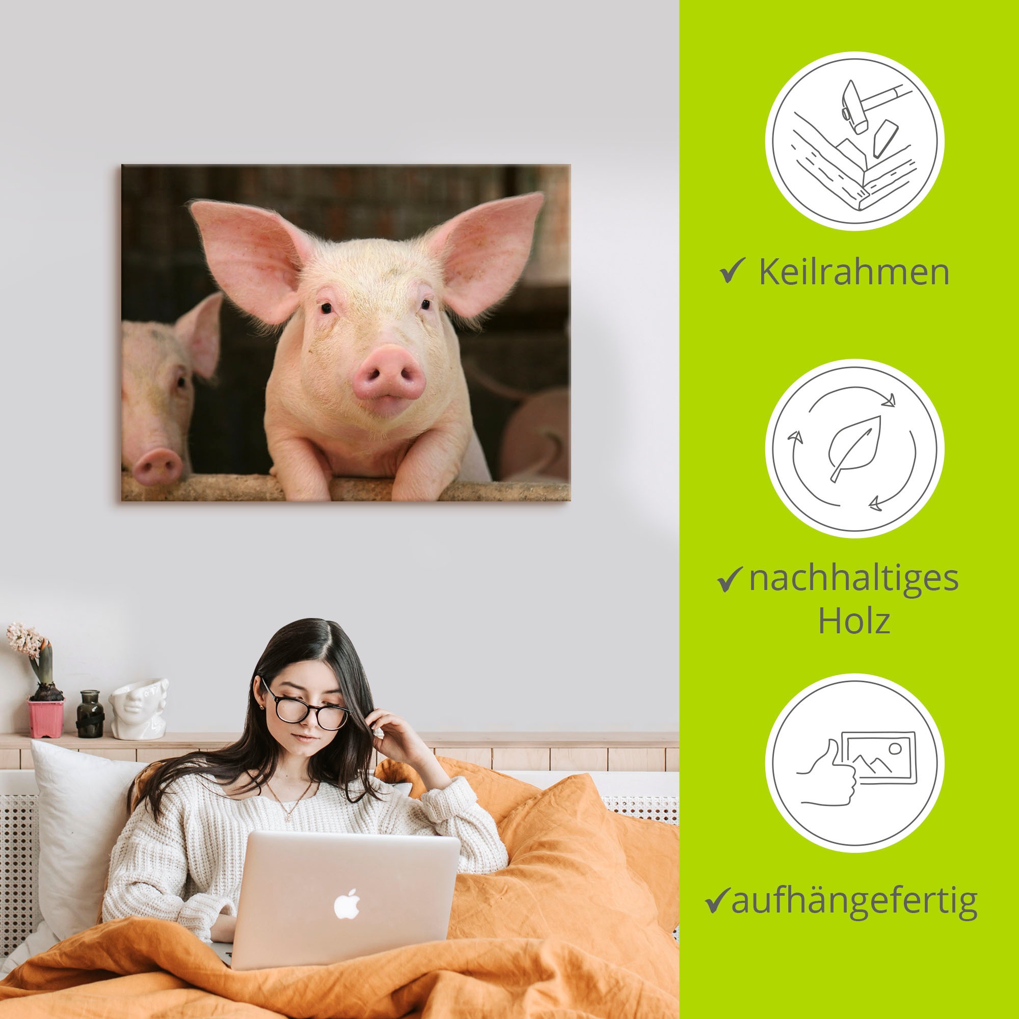 Artland Wandbild »Vorwitziges Schwein«, Haustiere, (1 St.), als Leinwandbild, Wandaufkleber in verschied. Größen