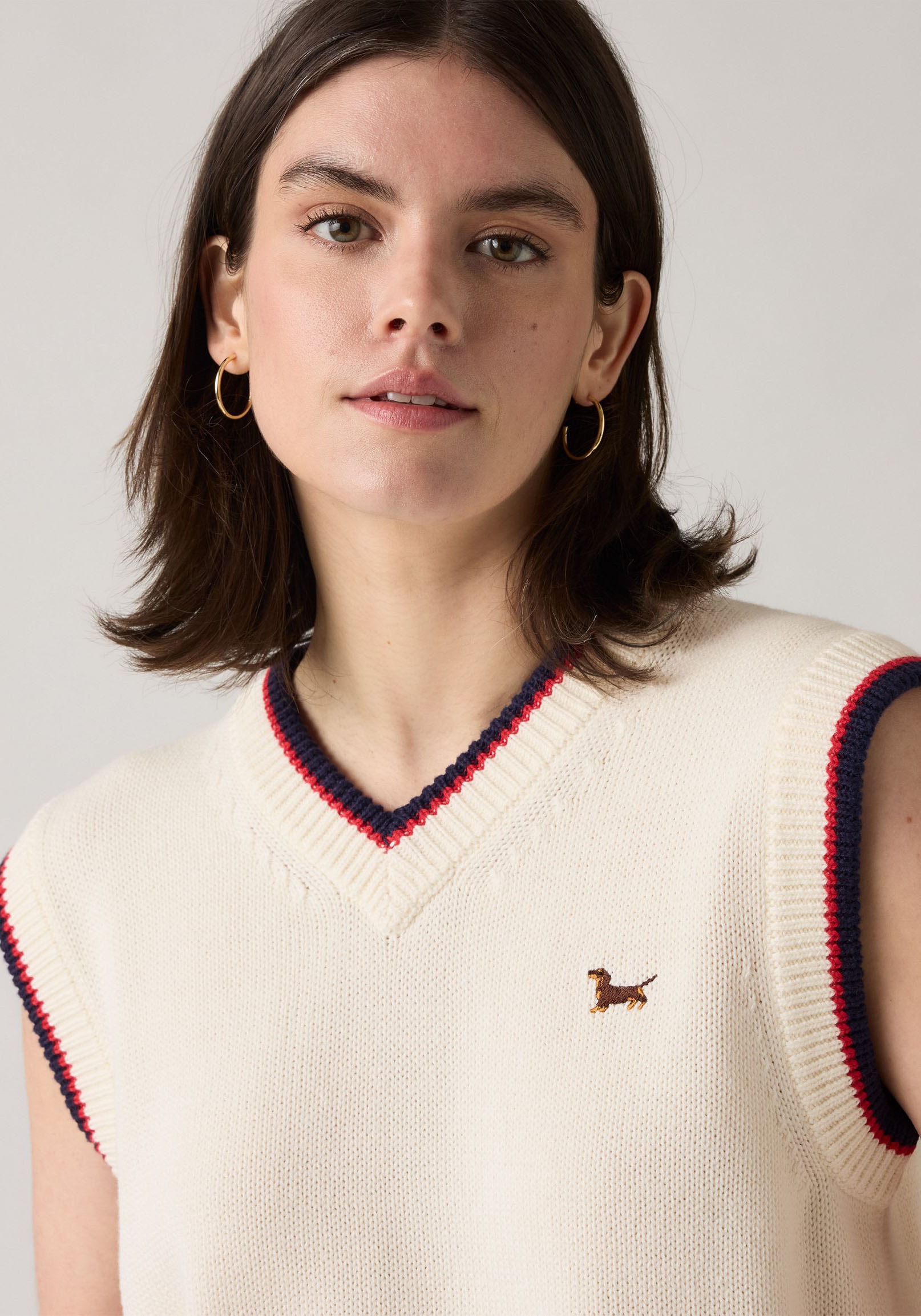 Levi's® Pullunder »CHARLIE VNECK VES«, Feinstrick mit Wollanteil
