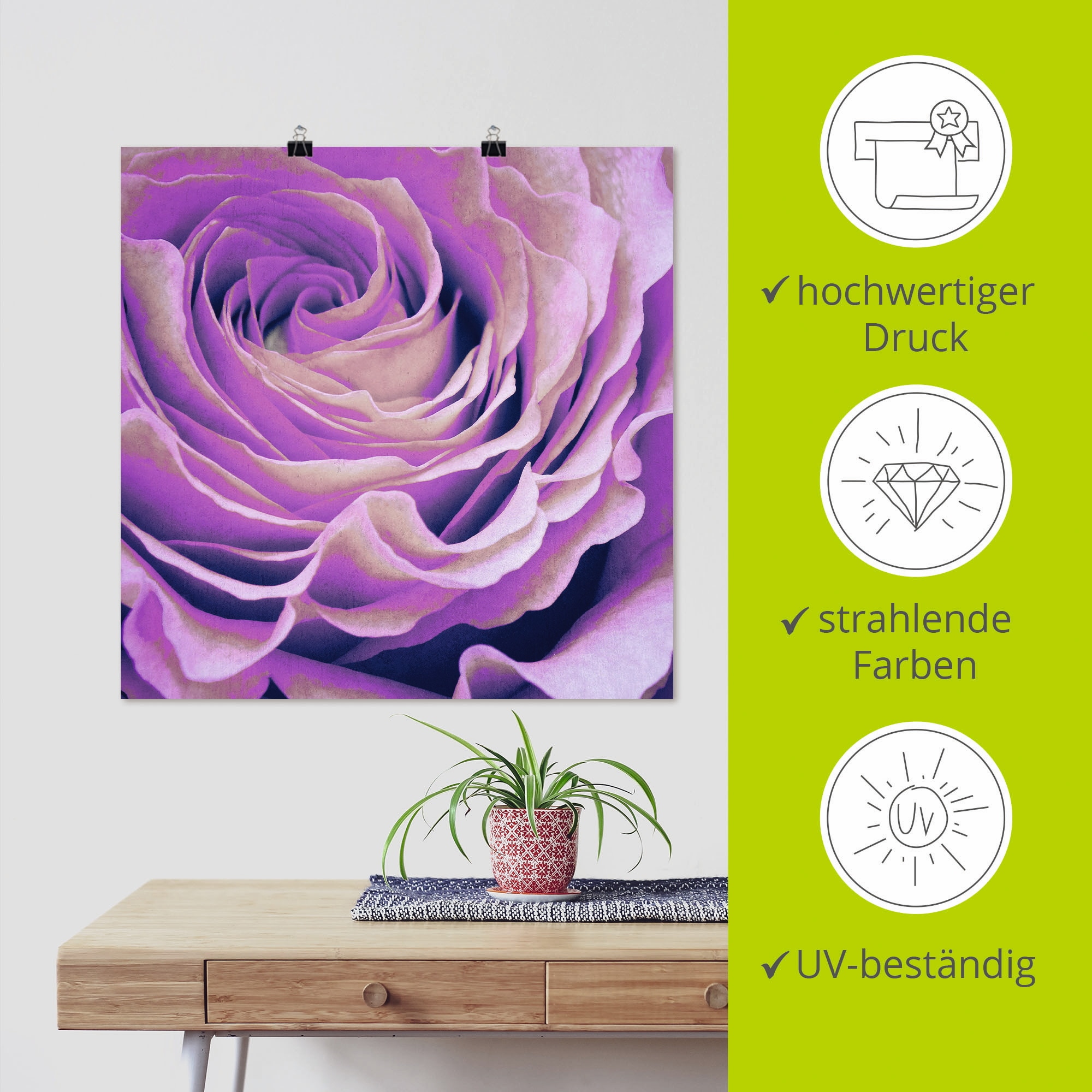 Artland Wandbild »Lila Rose« Blumen 1 Stk. tlg. ohne Rahmen