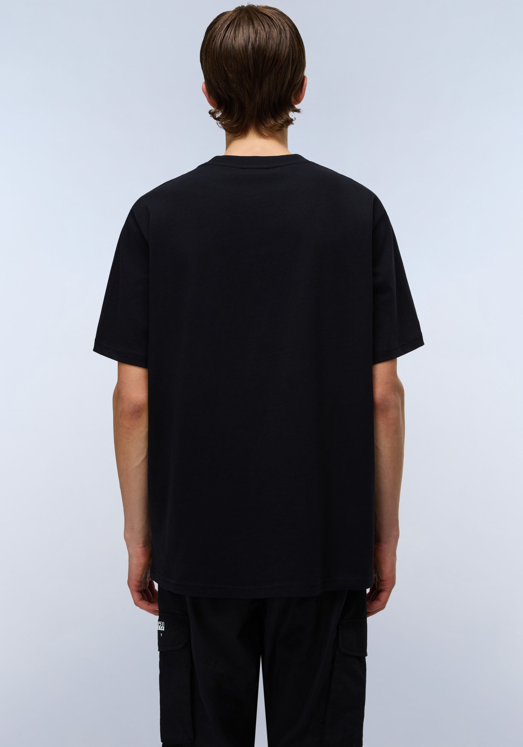 Napapijri T-Shirt »DRAPEAU« mit Print, Rundhals, Jersey