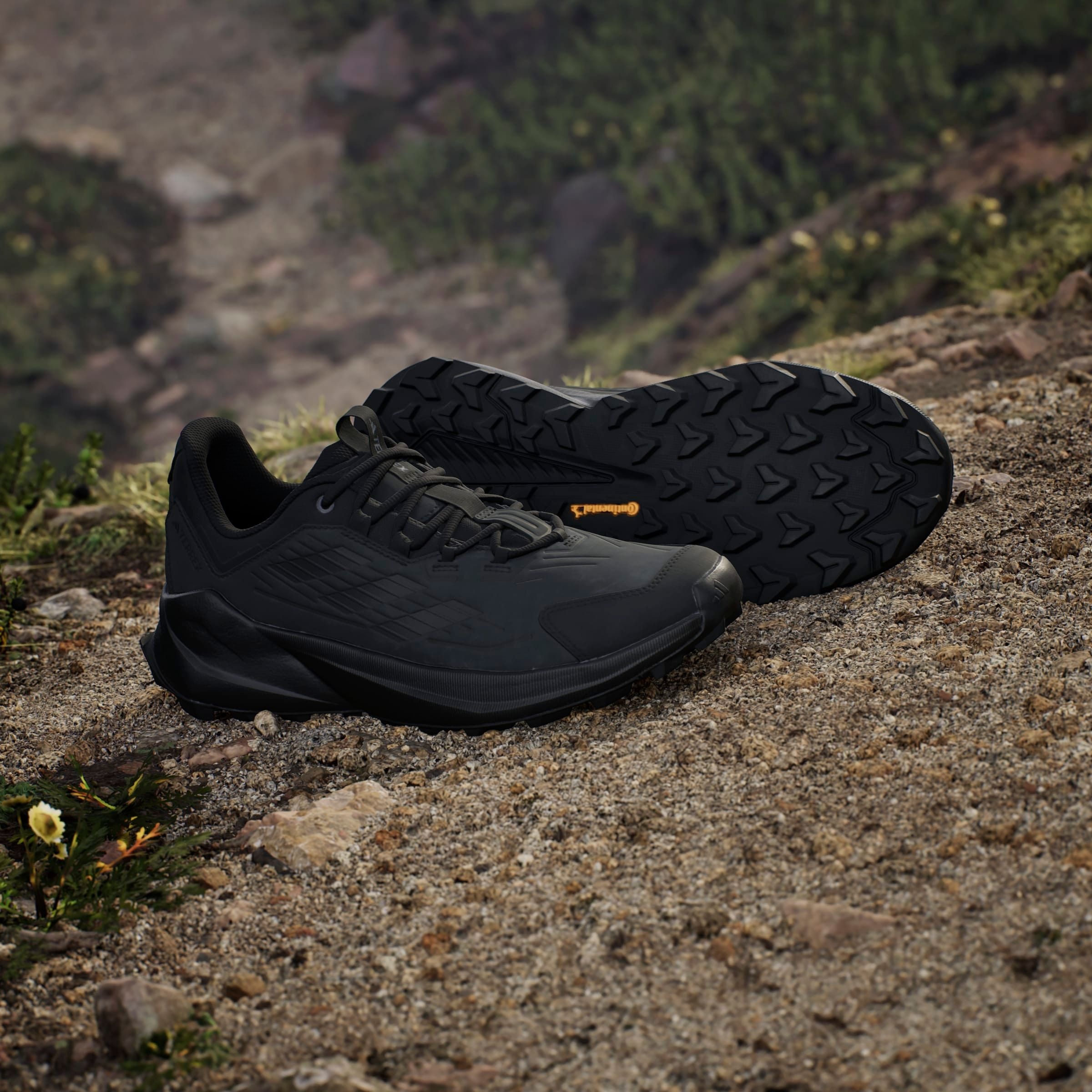 adidas TERREX Wanderschuh »TERREX TRAILMAKER 2.0 LEATHER«