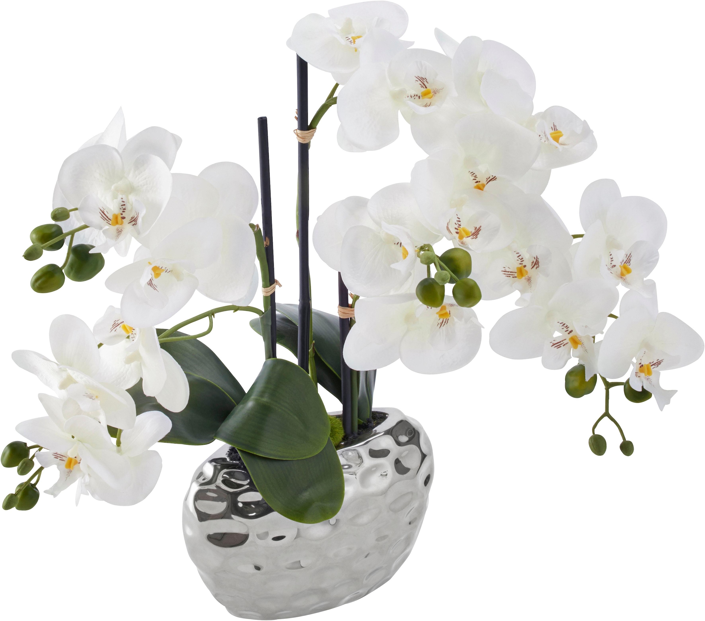 Jahren online green | 3 XXL Creativ kaufen »Orchidee« Kunstpflanze mit Garantie