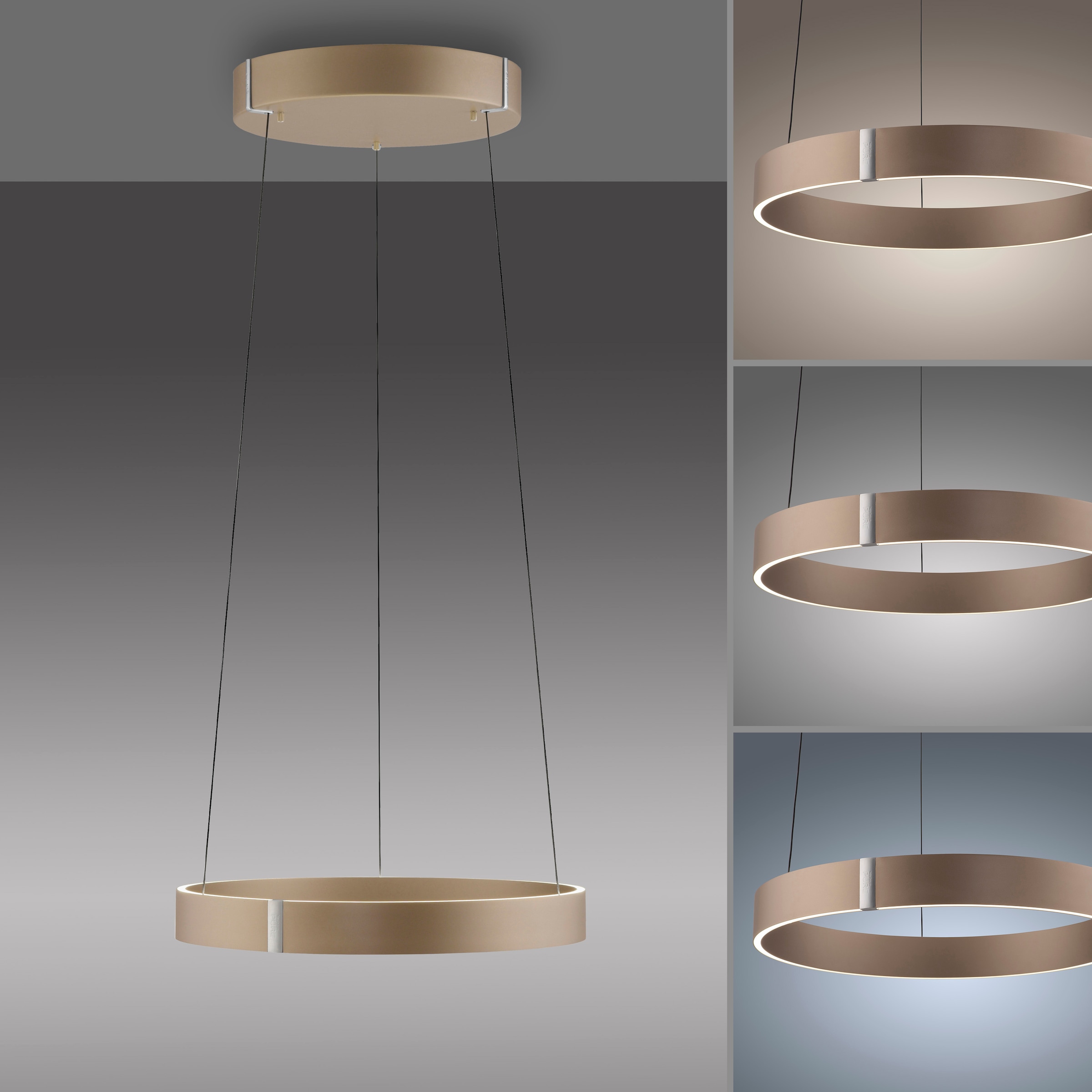 Neuhaus PURE LED Pendelleuchte »PURE E-Clipse« LED-Board 1 Stk. warmweiß - kaltweiß e-LIFT®-Funktion, CCT, dimmbar über Fernbedíenung