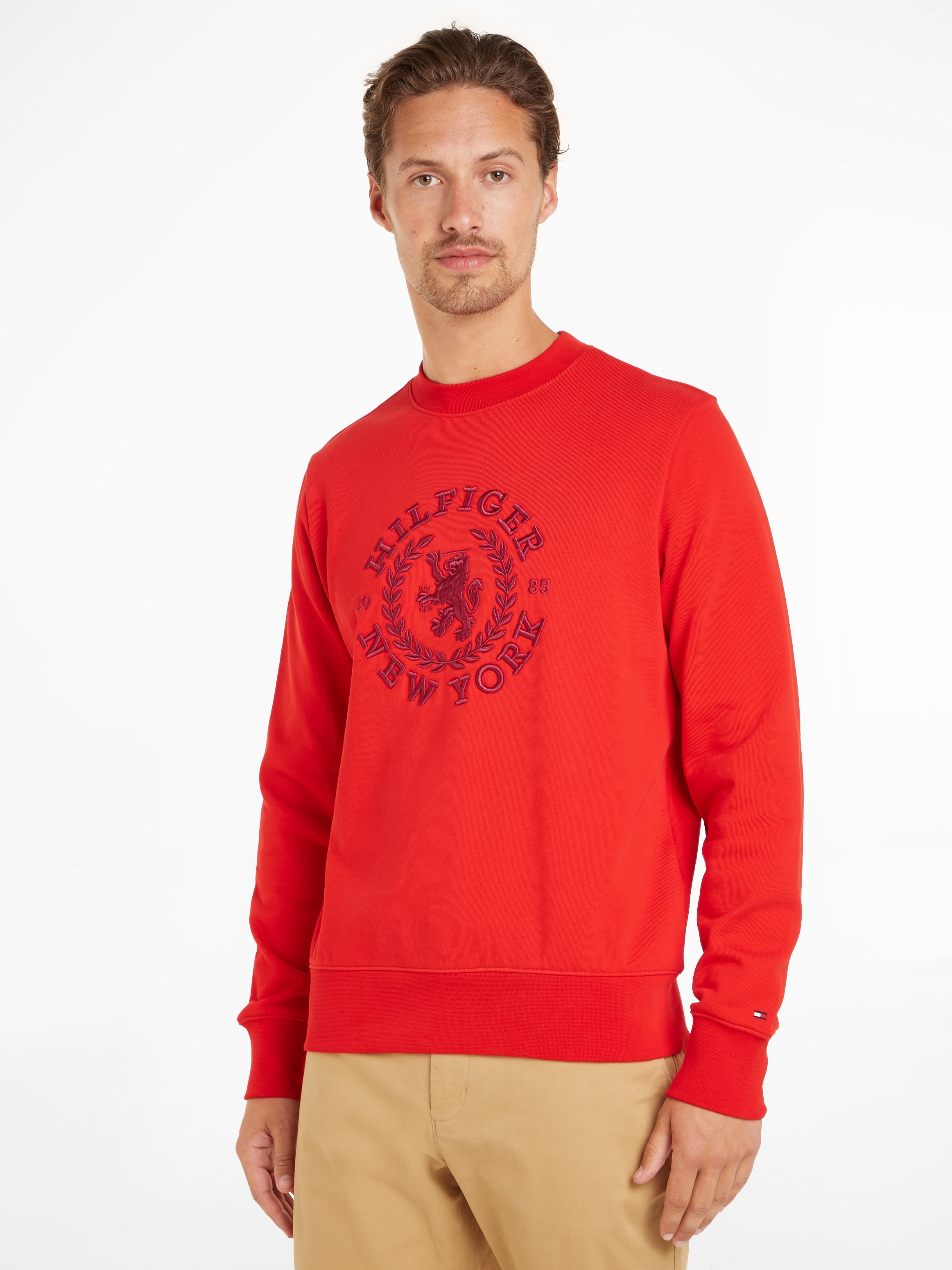 Sweatshirt »BIG ICON CREST SWEATSHIRT«, mit großem Logo auf der Brust