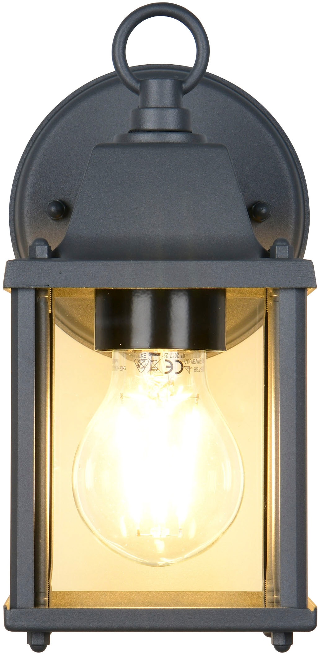 TRIO Leuchten Außen-Wandleuchte »MIRANDE, Hauswand Leuchte Laterne mit Glasschirm, exkl 1x E27 max 40W« E27 1 Stk. warmweiß - kaltweiß IP23, Outdoor Wandlampe für wechselbare Leuchtmittel Höhe 23cm