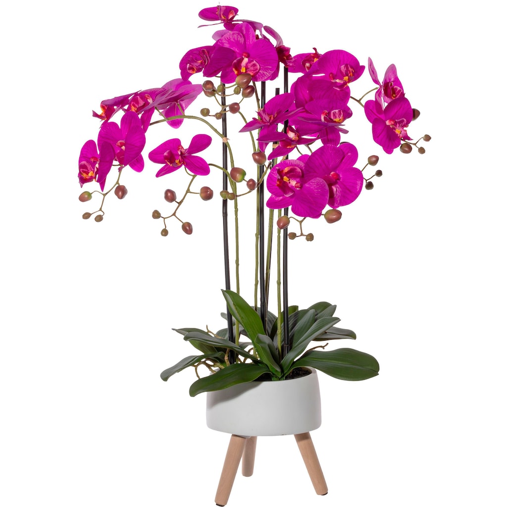 Creativ green Kunstorchidee »Orchidee Phalaenopsis in Keramikschale«