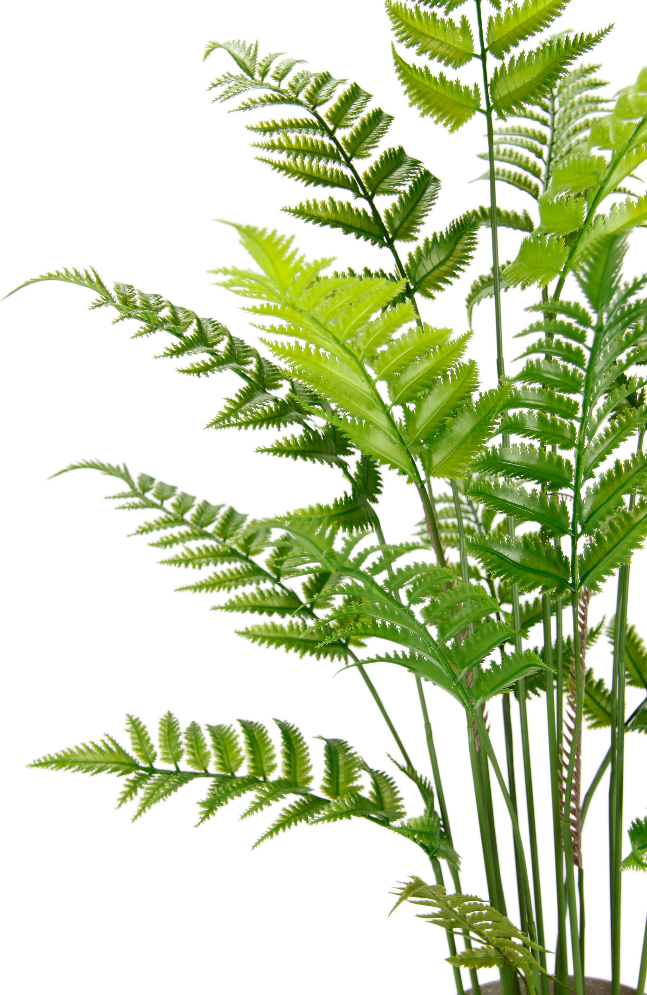 I.GE.A. Kunstpflanze »Künstlicher Waldfarn im Topf Farn Kunstfarn Farnbusch Waldpflanze« Zimmerpflanze Pflanze Grünpflanze Dekofarn Strauch Dekopflanze