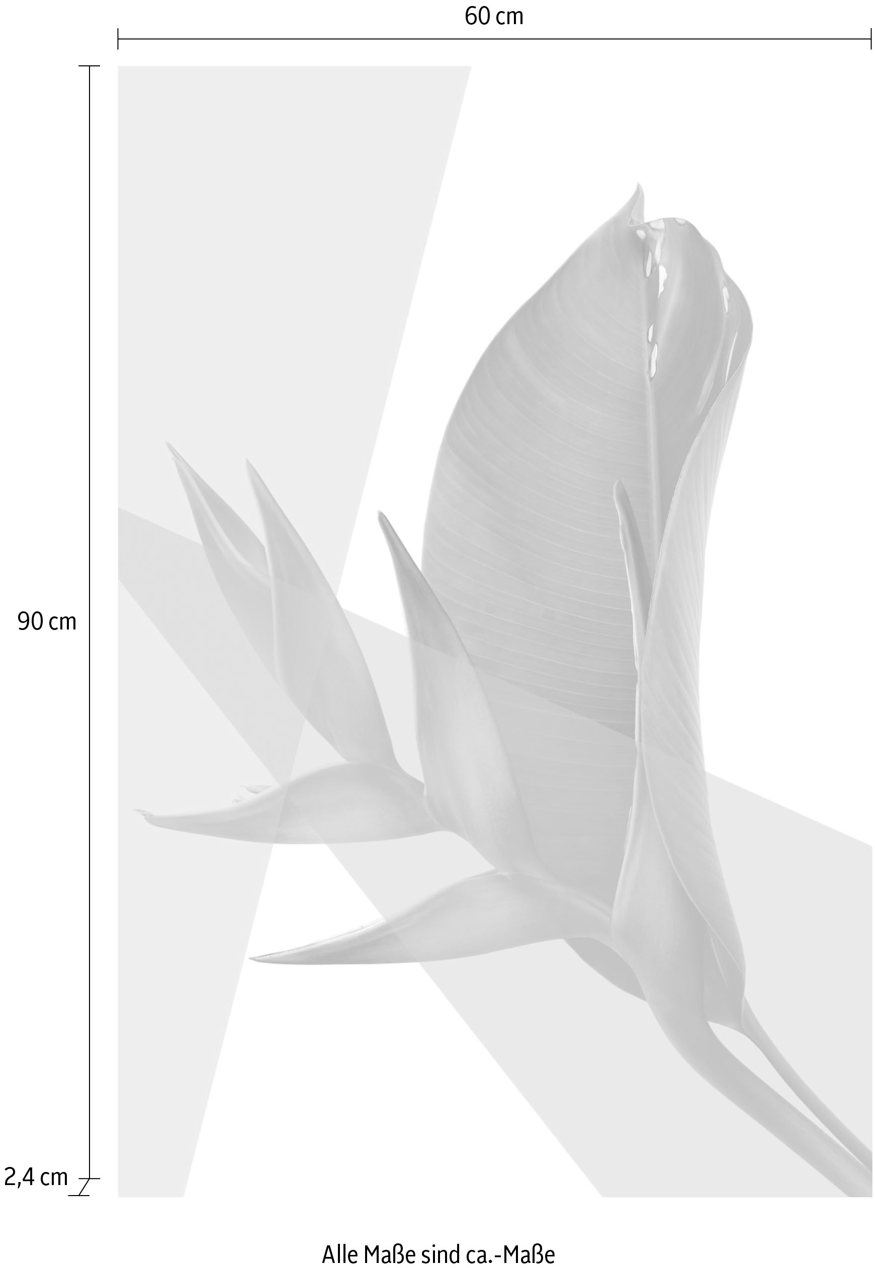 queence Acrylglasbild »Blätter« Blätter | Blätterbilder | Kunst | Pflanzen | Pflanzenbilder Fine Art-Print in Galeriequalität