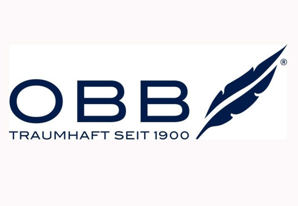 OBB 3-Kammer-Kopfkissen »Just Dream«, Füllung: 100% Federn, Bezug: Baumwolle, (1 St.)