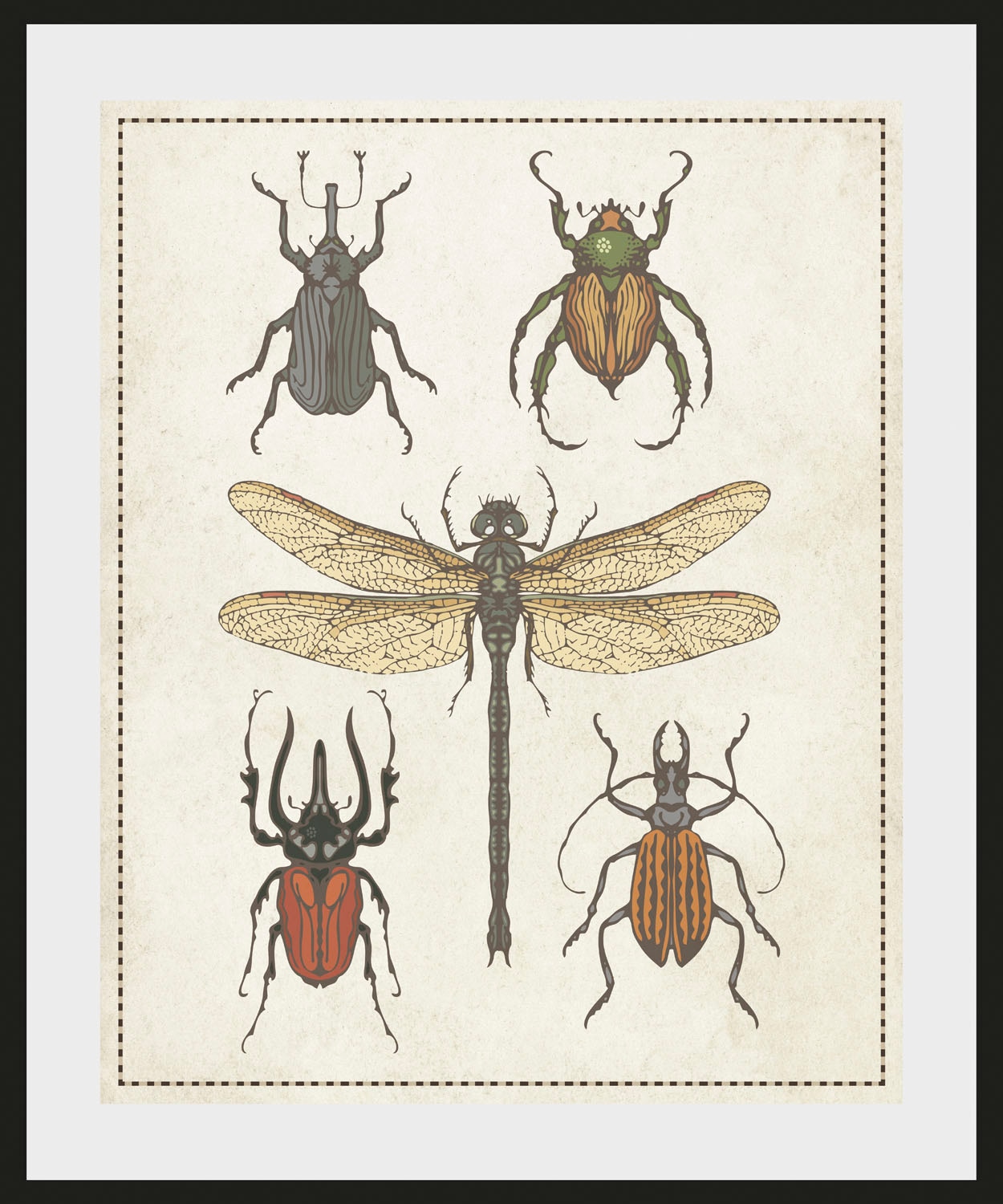 queence Bild »Paula«, Schmetterlinge-Kunst-Insekten, (1 St.), HD Premium Poster-Druck inkl. Holzrahmen