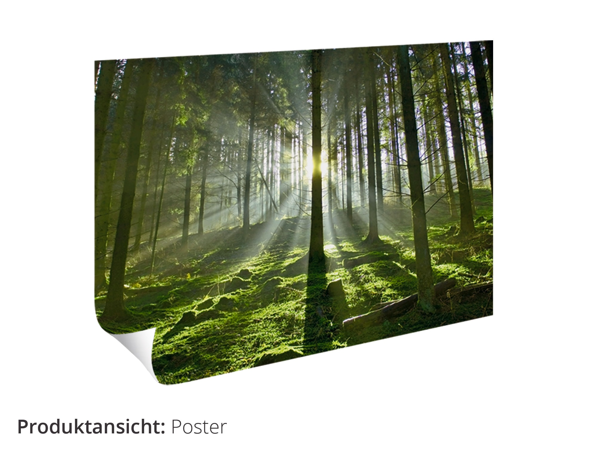Artland Wandbild »Lost Place - Kino - verlassene Orte«, Gebäude, (1 St.), als Alubild, Outdoorbild, Leinwandbild, Poster in verschied. Größen