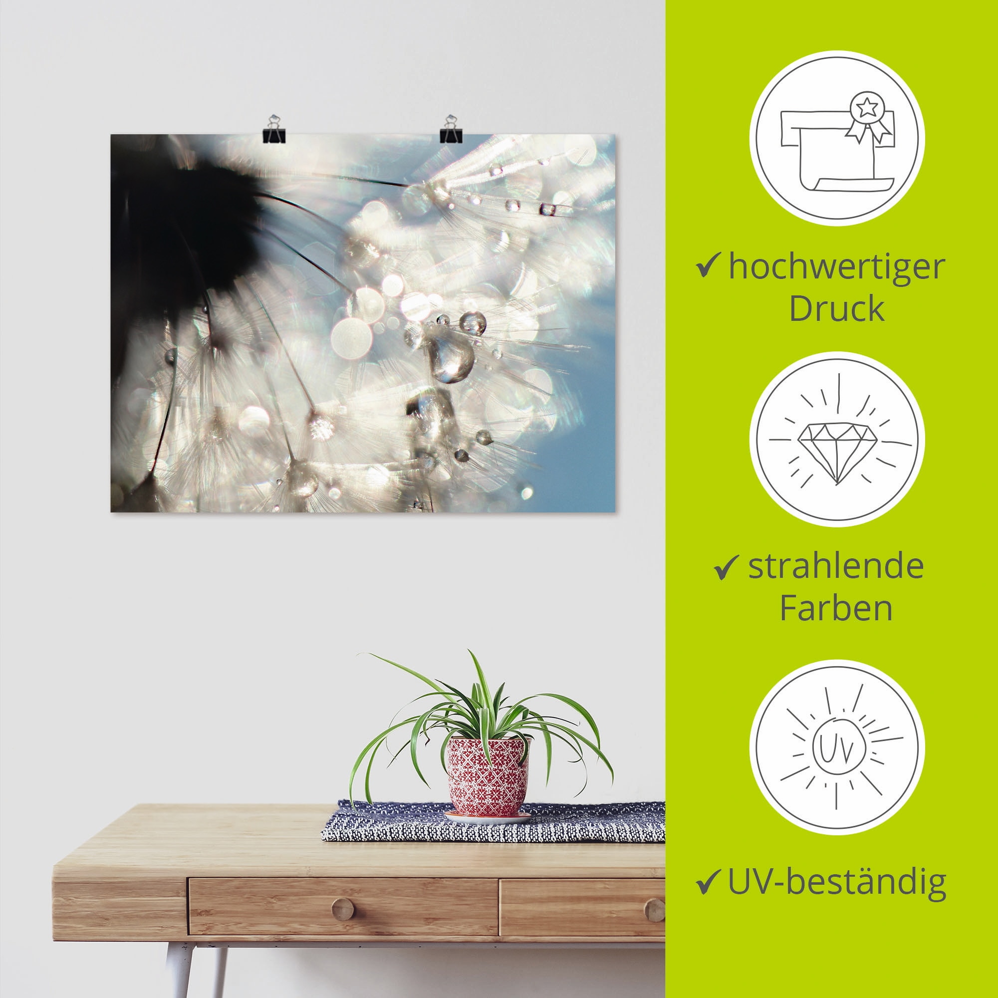 Artland Poster »Pusteblume Engelflügel«, Blumen, (1 St.), als Alubild, Leinwandbild, Wandaufkleber oder Poster in versch. Größen
