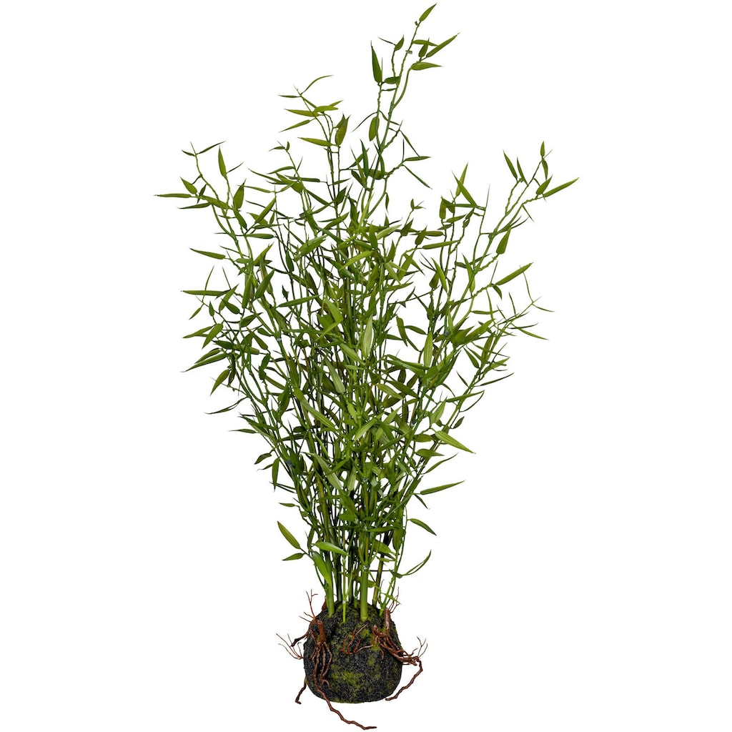 Creativ green Künstliche Zimmerpflanze »Bambus im Moosballen«