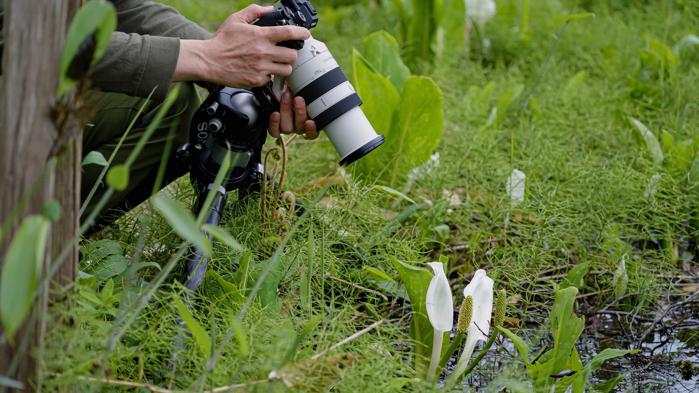 Sony Objektiv »FE 70–200 mm F4 Makro G OSS Ⅱ«