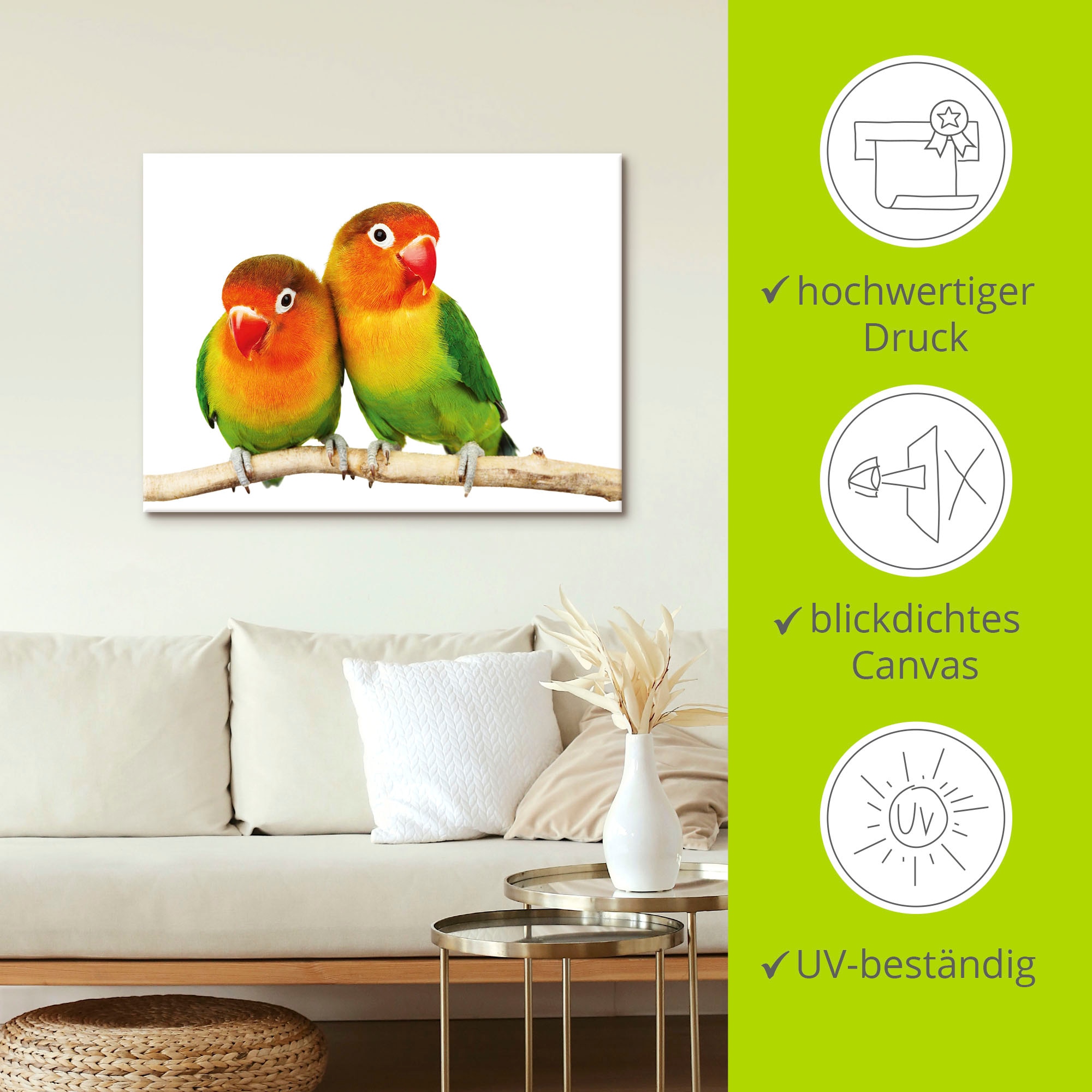 Artland Wandbild »Paar von Grauköpfchen - Papageien«, Vögel, (1 St.), als Leinwandbild, Poster, Wandaufkleber in verschied. Größen