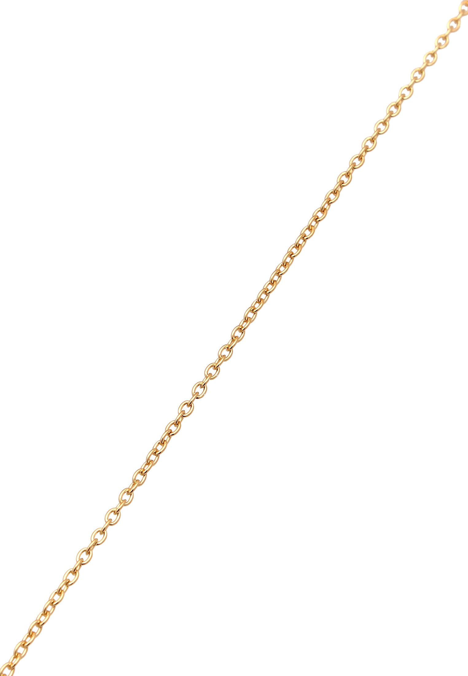 Elli Premium Kette ohne Anhänger »Halskette Ankerkette Basic Zart 585 Gelbgold«