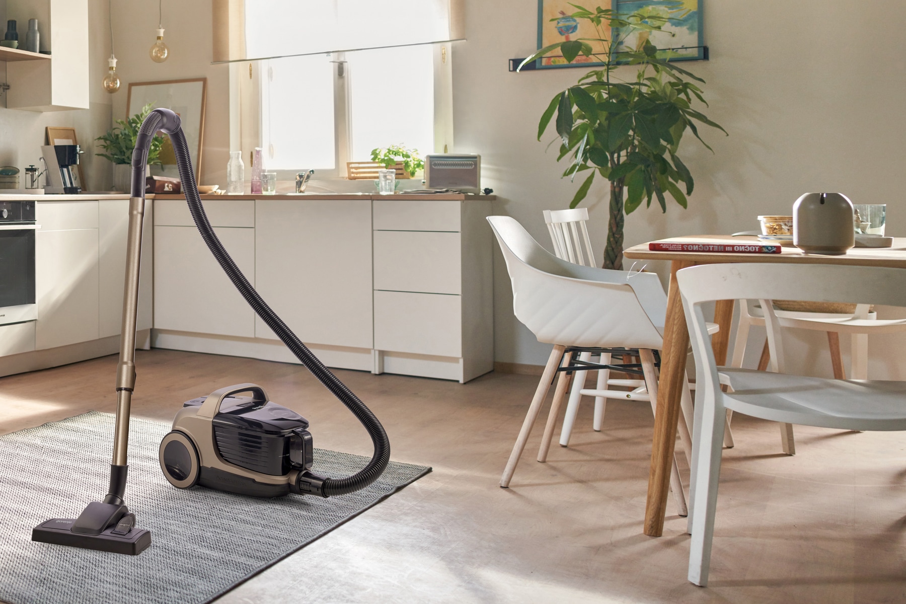 GORENJE Bodenstaubsauger »G-FORCEAIR PET VCE08GAPGOCY«, 850 W, beutellos