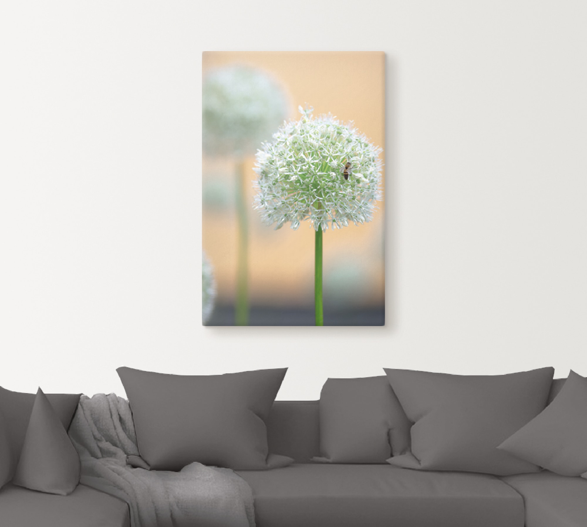 Artland Leinwandbild »Großer Allium in Pastell« Blumen 1 Stk. tlg. auf Holzrahmen gespannt