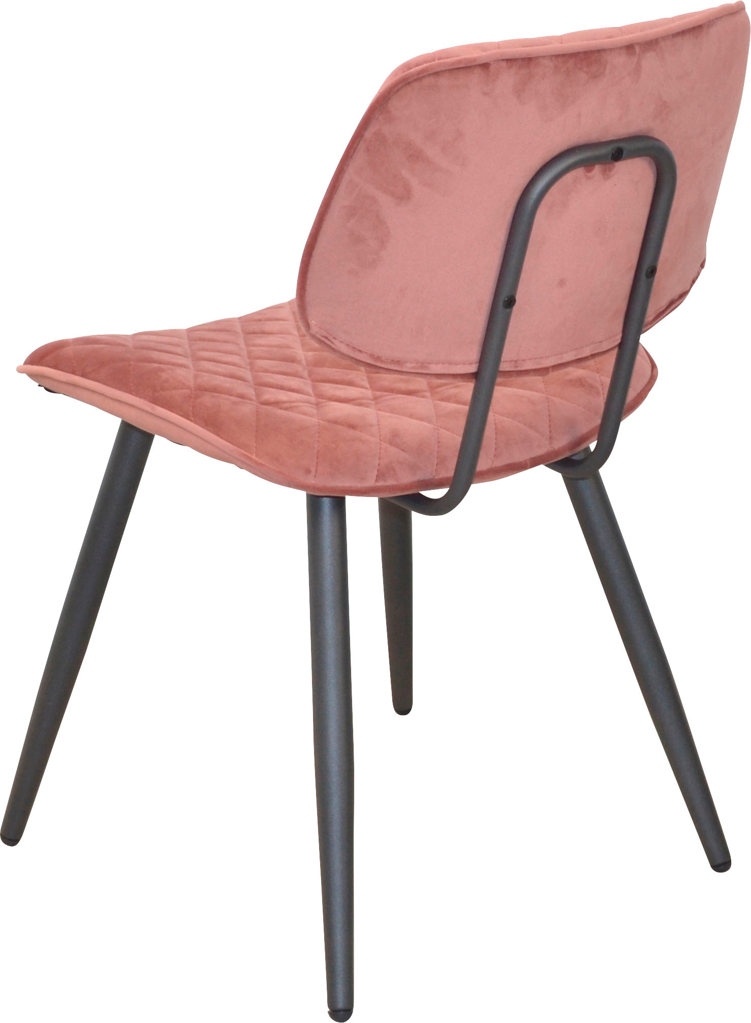INOSIGN Polsterstuhl, (Set), 1 St., Samtstruktur, Gestell aus Stahlrohr, Sitz und Rücken schaumstoffgepolstert