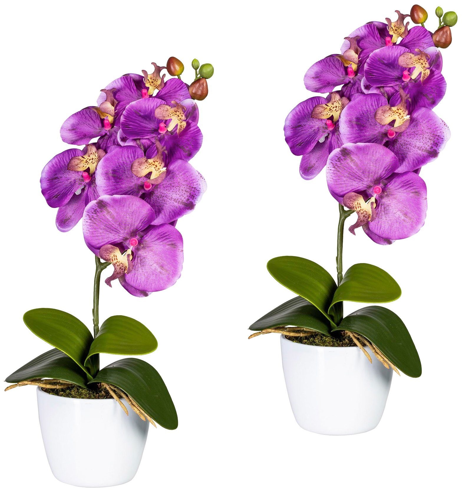 Kunstpflanze »Orchidee Phalaenopsis«, im Keramiktopf