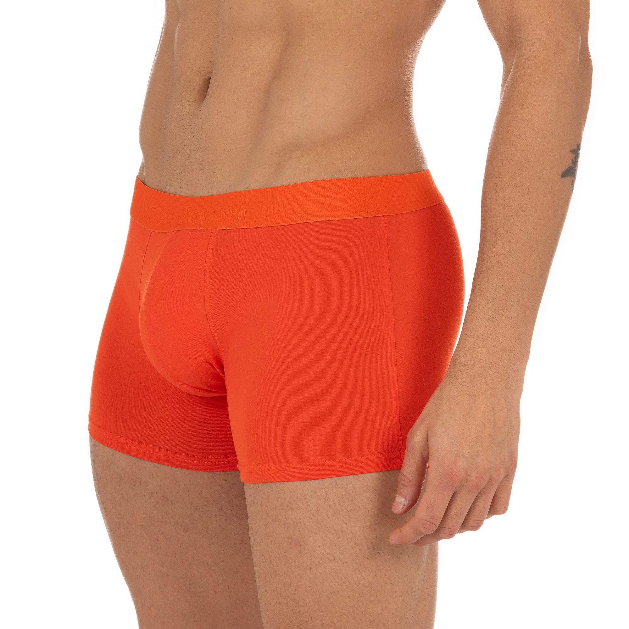 Bruno Banani Boxershorts »FLOWING«, (2er Pack), mit kontrastfarbenem Bündchen