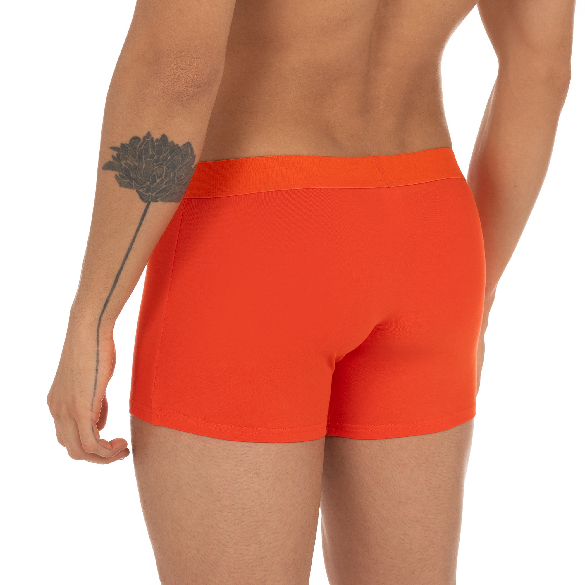 Bruno Banani Boxershorts »FLOWING«, (2er Pack), mit kontrastfarbenem Bündchen
