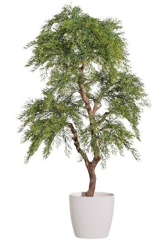 Creativ green Kunstbaum »Zypresse«, (1 St.), im Keramiktopf kaufen
