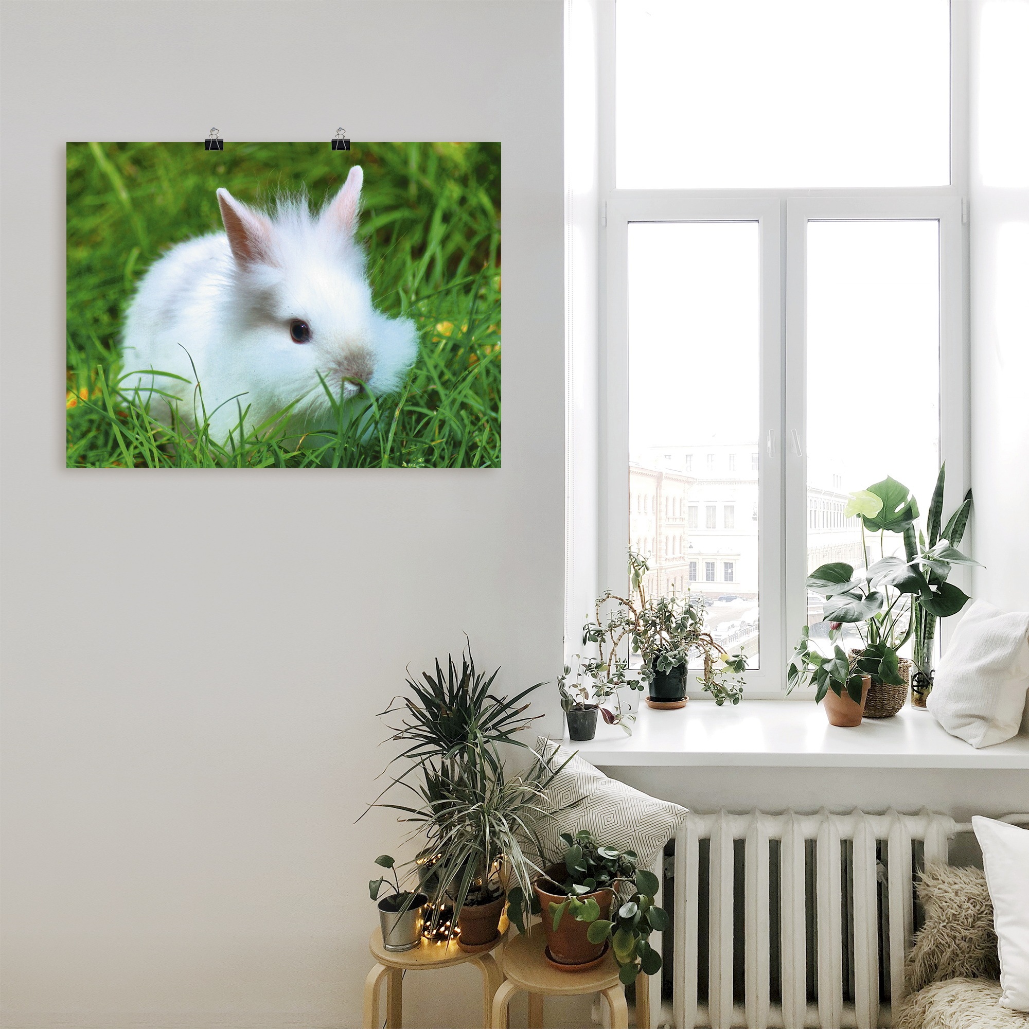 Wildtiere, in »Weißes Zwergkaninchen Alubild, (1 Poster Leinwandbild, Wandaufkleber Baby«, versch. als Artland bequem Größen oder St.), bestellen Wandbild