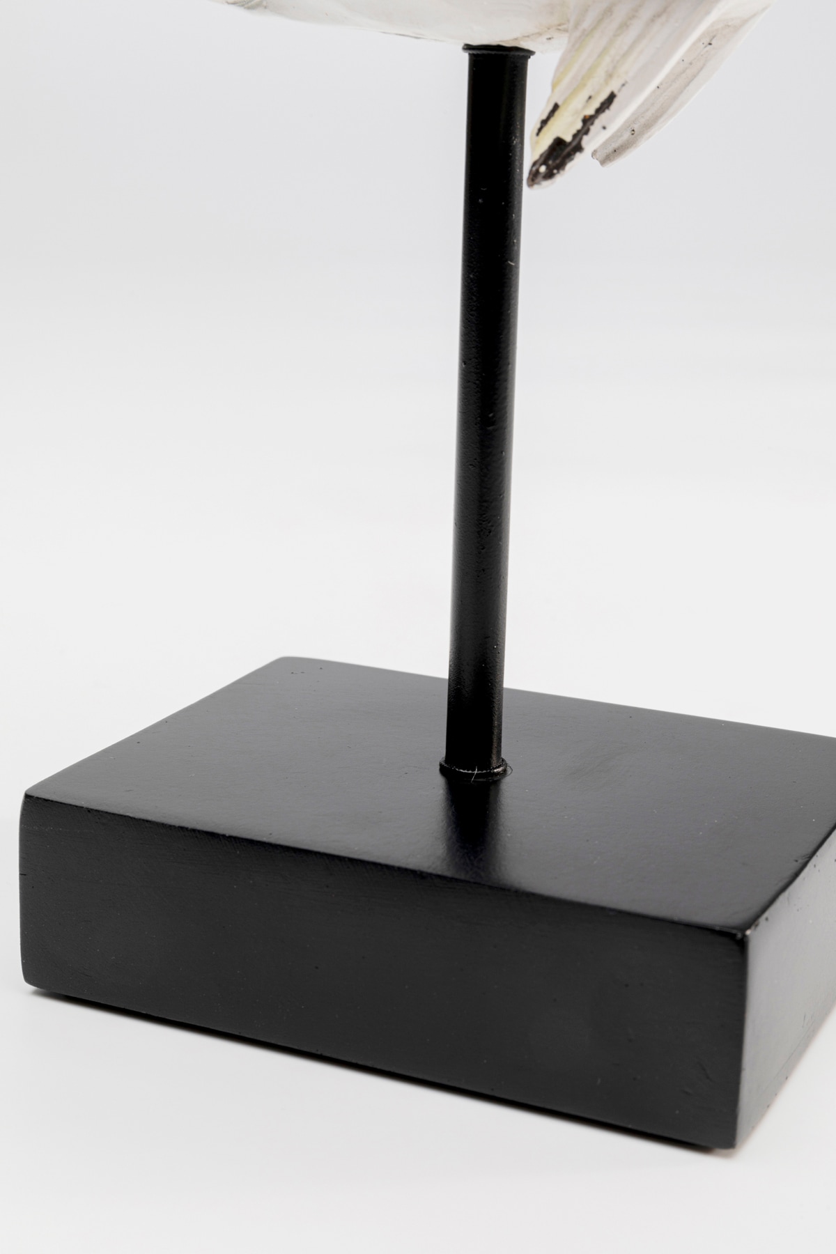 Kare Design Dekofigur »Fishy« verschiedene Größen