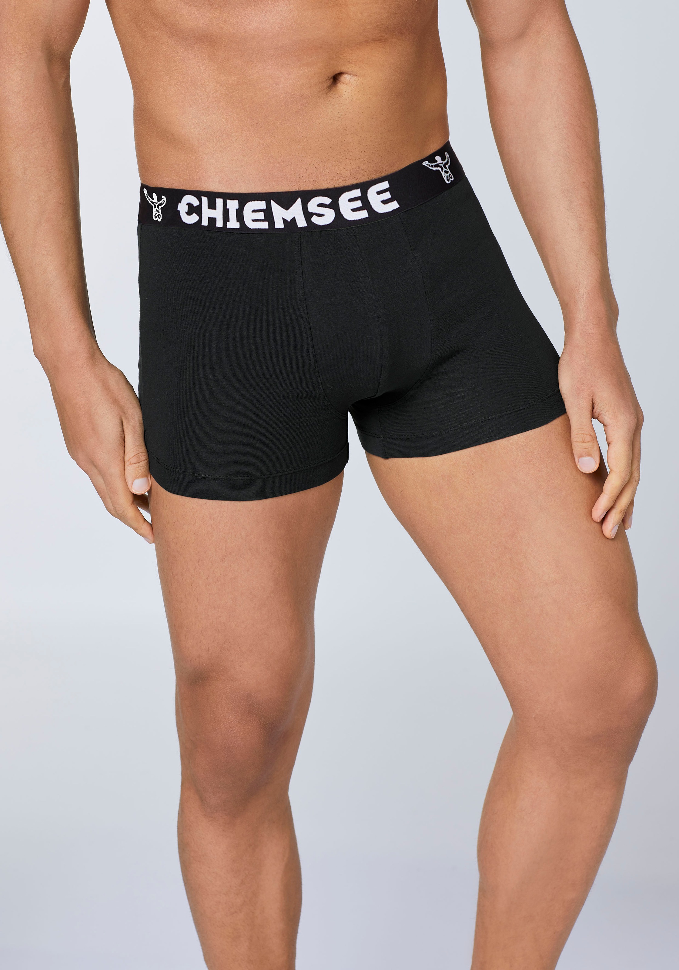Chiemsee Boxershorts »3er Pack«, (Packung, 3)