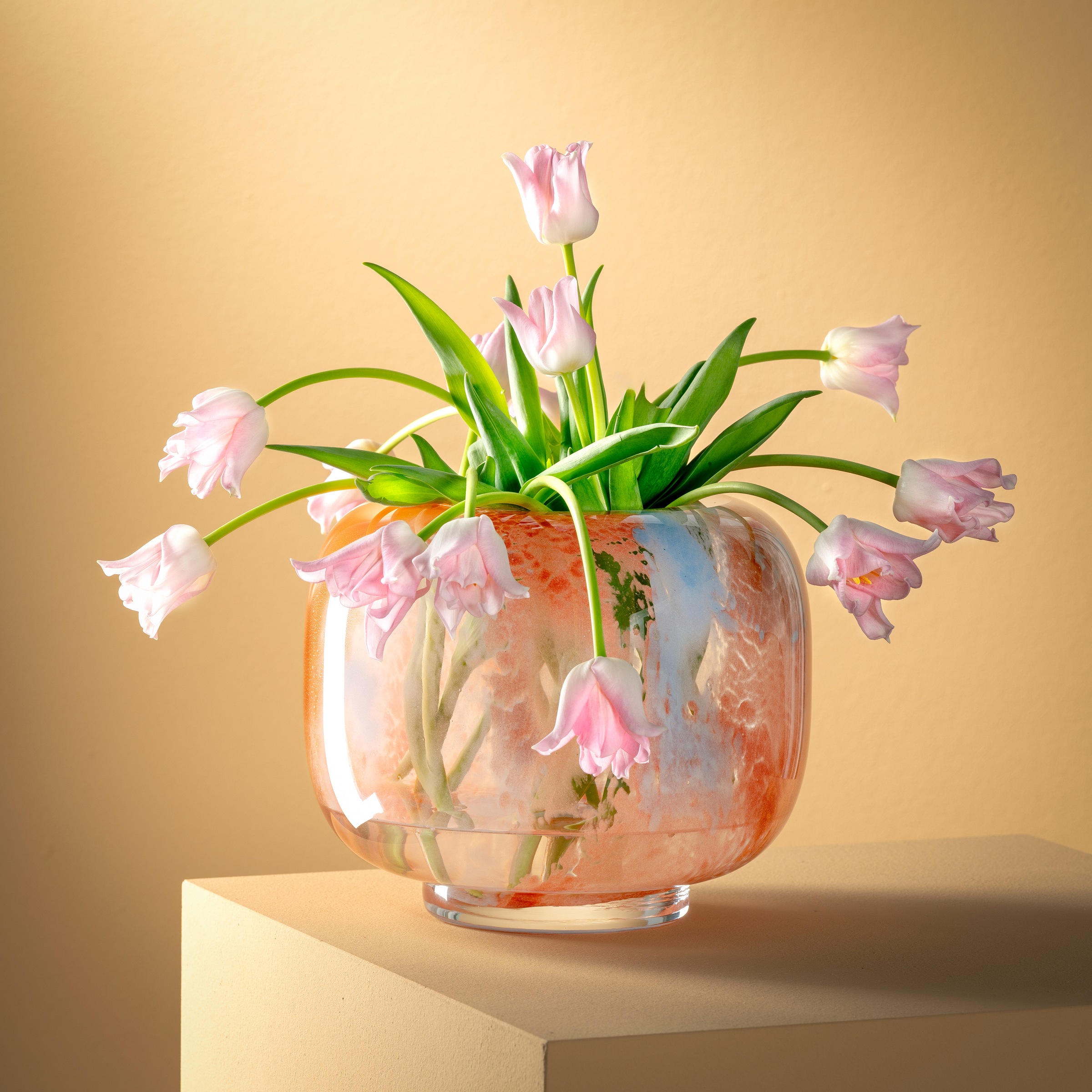 LEONARDO Dekovase »Vase CIPRIA DUE«, (1 St.)