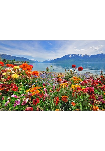 Fototapete »BLUMEN-DESIGN NATUR LANDSCHAFT GEBIRGE BERGE ALPEN SEE«