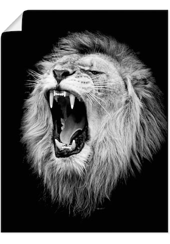 Artland Wandbild »Der Löwe«, Wildtiere, (1 St.), in vielen Größen & Produktarten -... kaufen