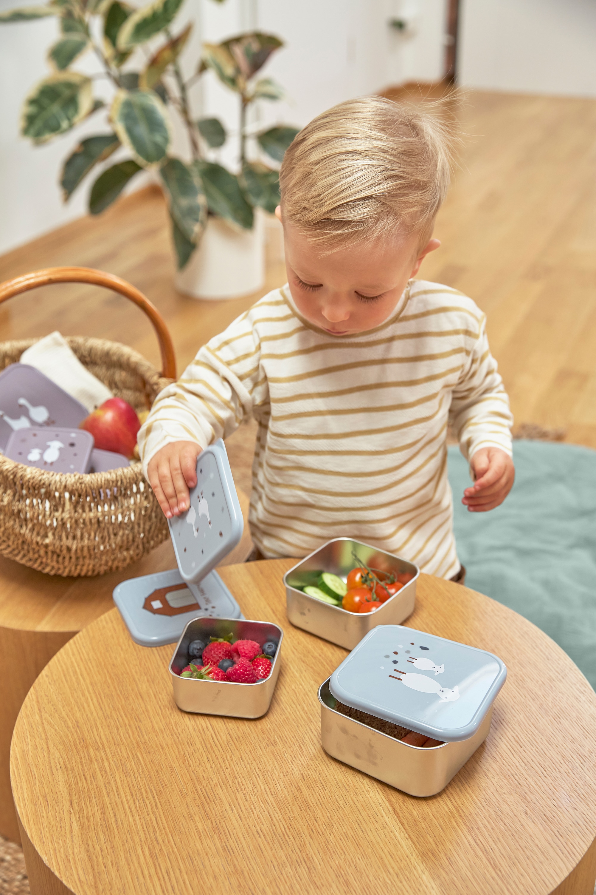 LÄSSIG Lunchbox »Tiny Farmer, Blue«, (3 tlg.)