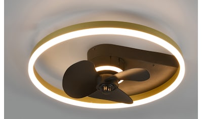 EGLO LED Deckenleuchte »Salobrena«, 1 flammig-flammig, modernes Design, Arbeitszimmer, hohe Ausleuchtung online kaufen | mit 3 Jahren XXL Garantie