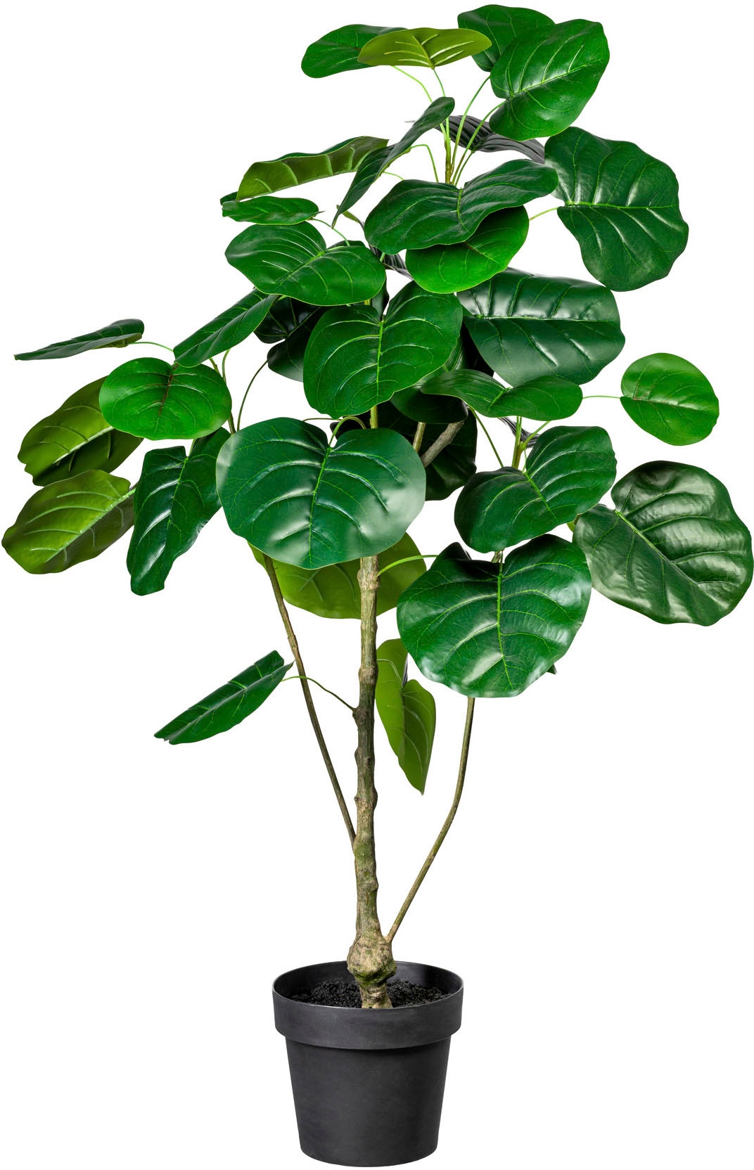 bestellen Paperpot Künstliche im bequem Creativ »Blattpflanze Splitphilodendron«, green Zimmerpflanze