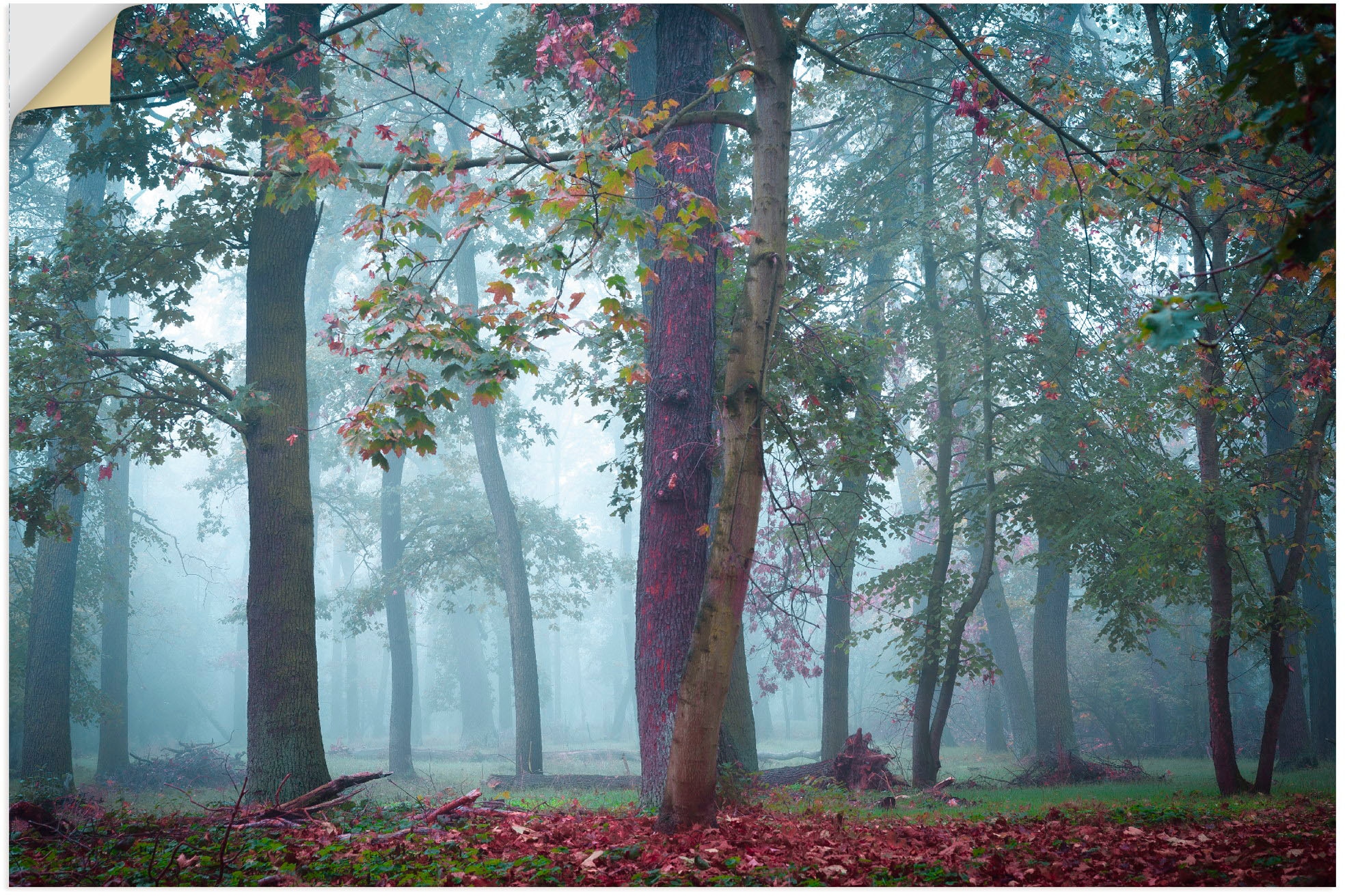 Artland Wandbild »Nebel im Wald«, Poster, bestellen in verschied. Outdoorbild, St.), bequem Waldbilder, (1 als Alubild, Größen Wandaufkleber