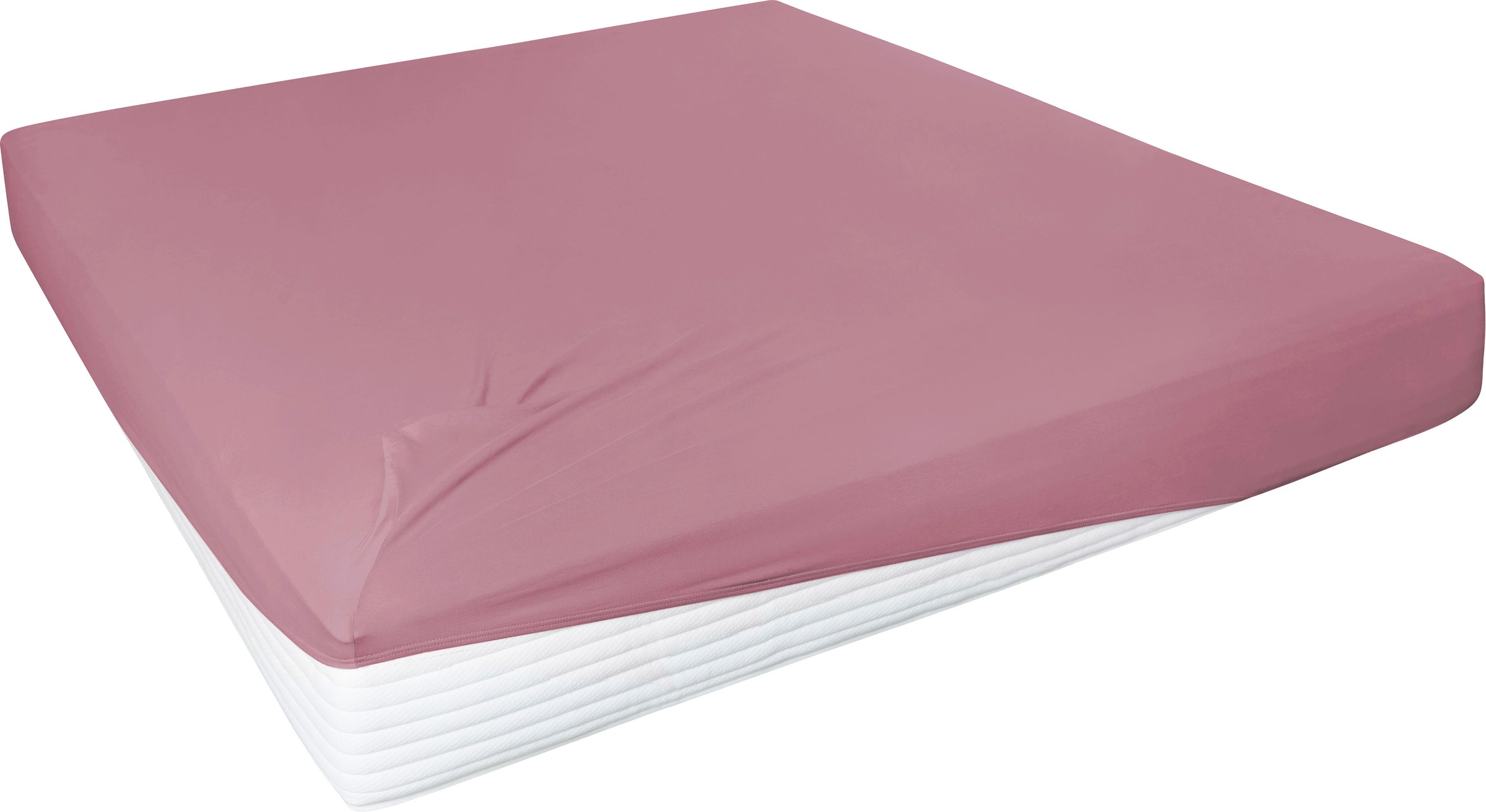 Primera Spannbettlaken "Elasthan-Feinjersey" PREMIUM, aus 95% gekämmter Baumwolle und 5% Elasthan, bis 28 cm Höhe