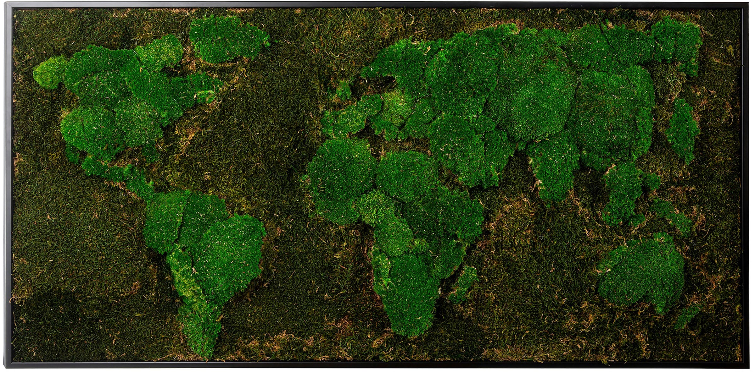 Bönninghoff Bild mit Rahmen »Moos«, Weltkarte, (1 St.), jedes Bild ein  Unikat, BxH: 120x60 cm bequem bestellen