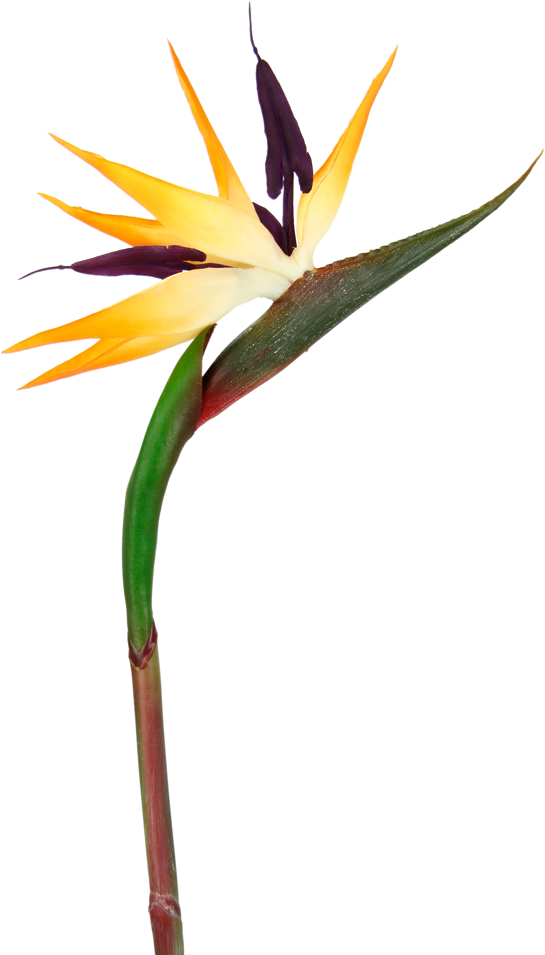 I.GE.A. Kunstblume »Künstliche Blume Strelitzie Paradiesvogelblume Exotischer Dekozweig«, Zweig Einzelblume Dekoblume Stielblume Hochzeit Dekoration