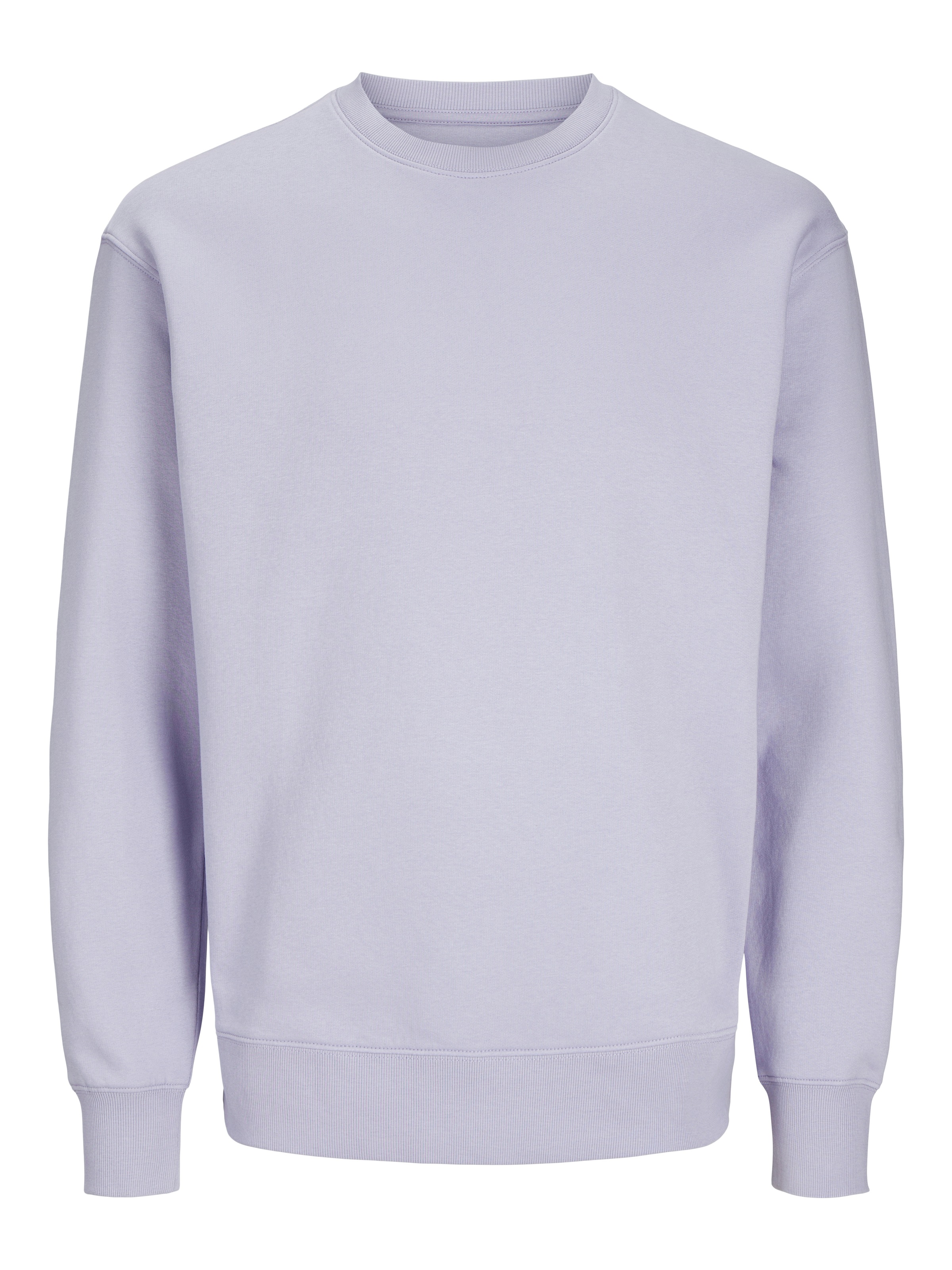 Jack & Jones Sweatshirt »JJESTAR BASIC SWEAT CREW NECK NOOS«, mit Rundhalsausschnitt