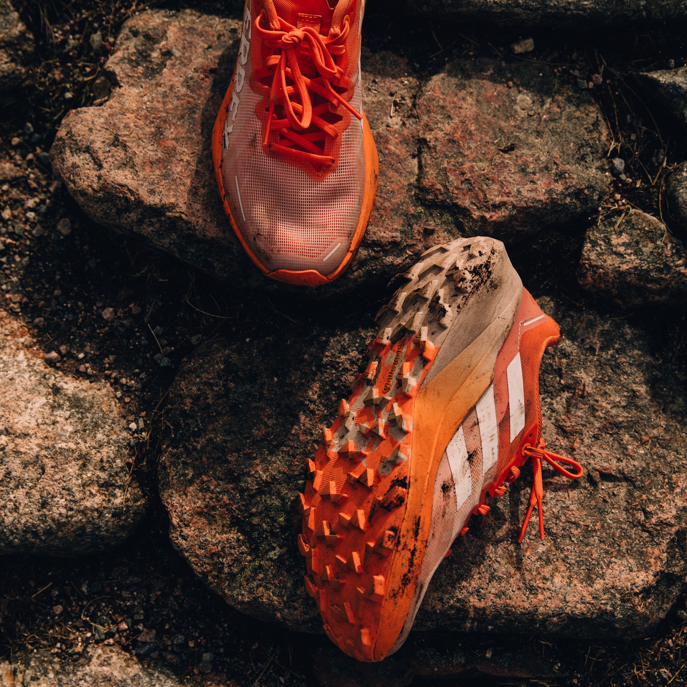 adidas TERREX Trailrunningschuh »TERREX AGRAVIC 3 TRAILRUNNING«